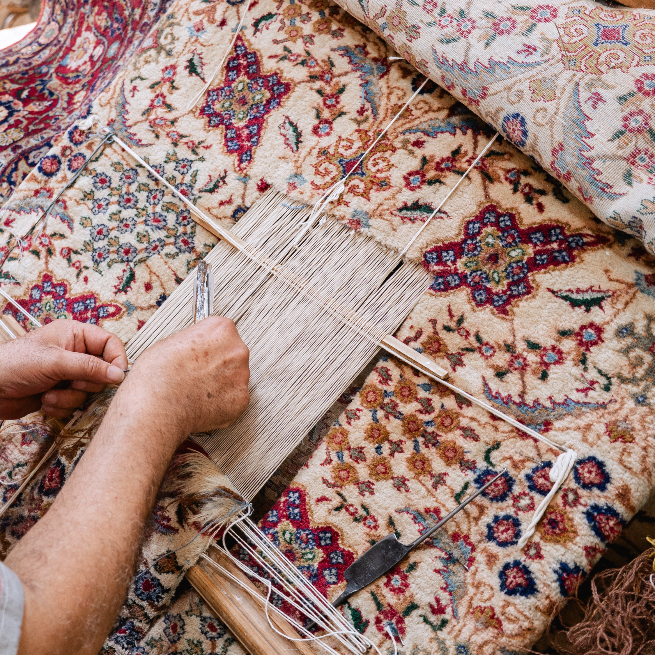 Expert rug cleaning