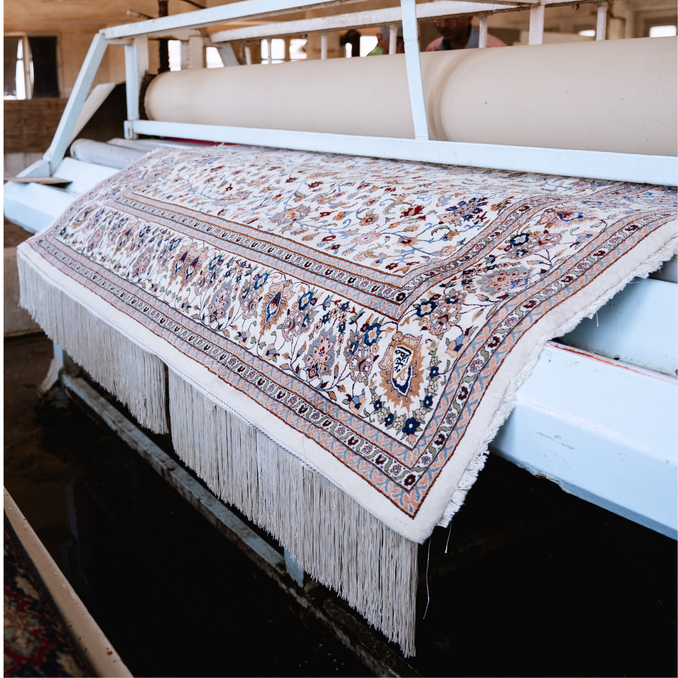 Expert rug cleaning